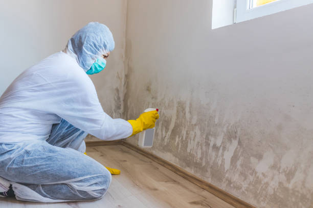 Licensed Commercial Mold Remediation service in Selma, NC - WQB Mold Removal