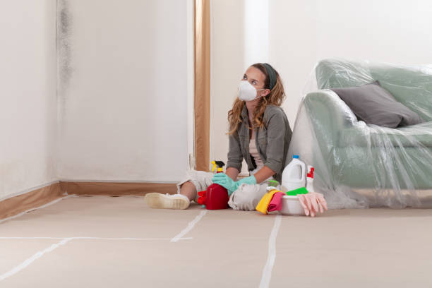 Reliable Commercial Mold Remediation contractor in Selma, NC by WQB Mold Removal